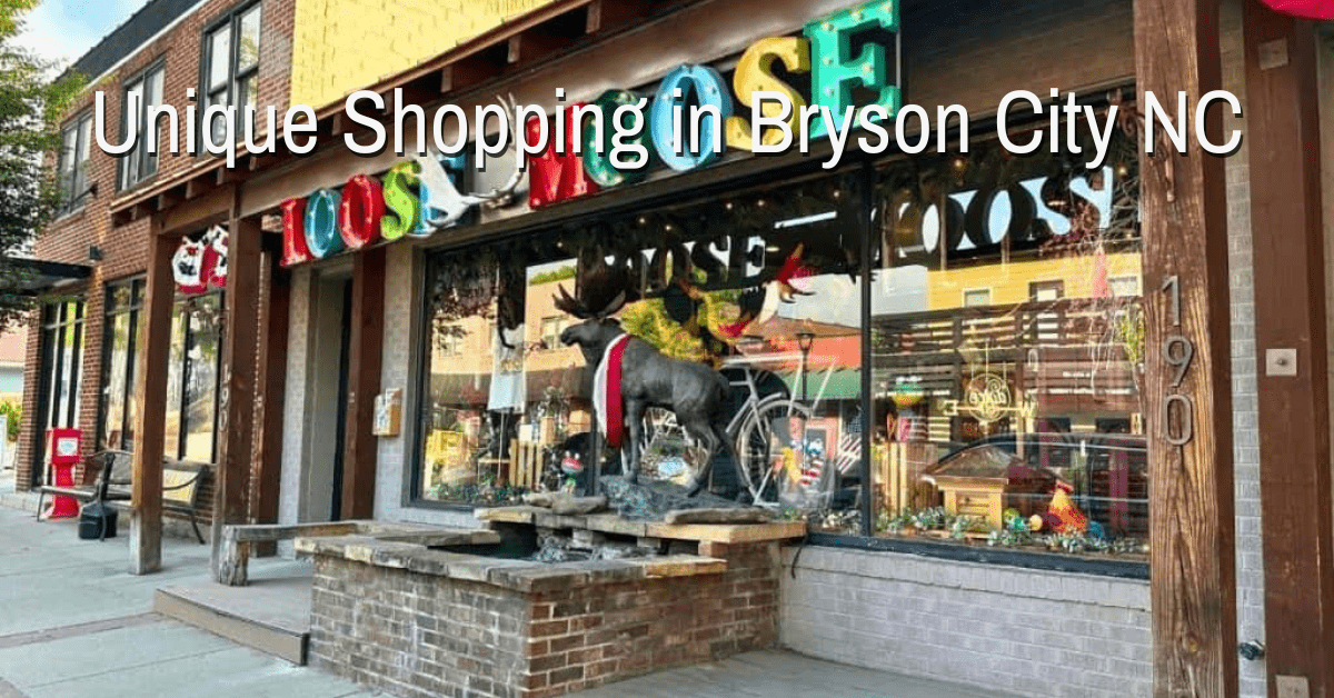 Unique Shopping in Bryson City NC
