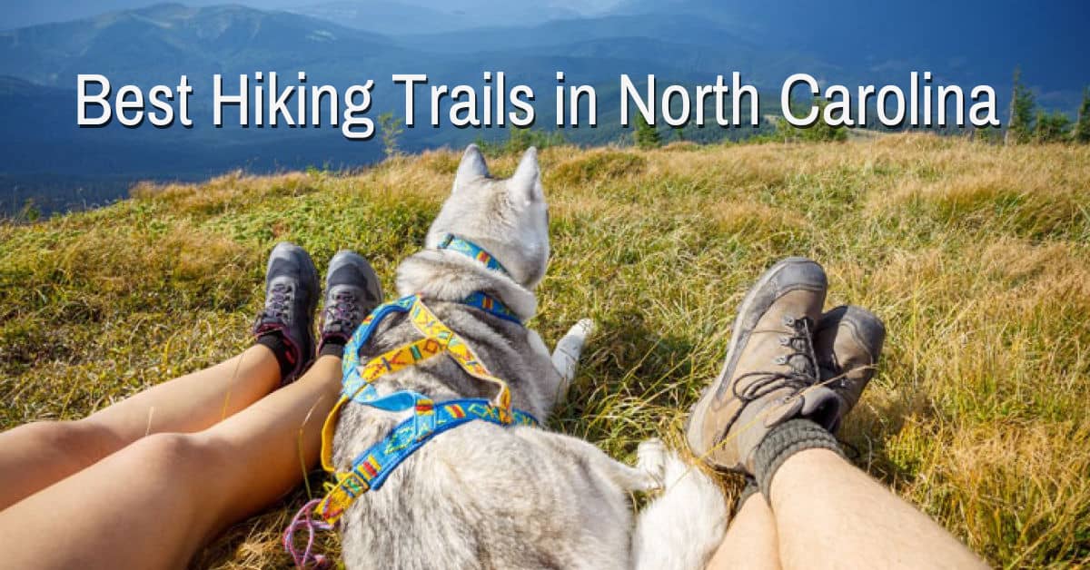 Best Hiking Trails in North Carolina