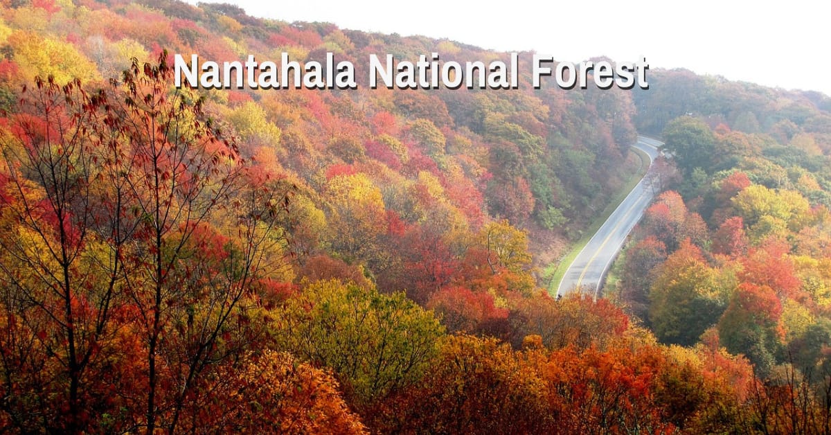 Nantahala National Forest