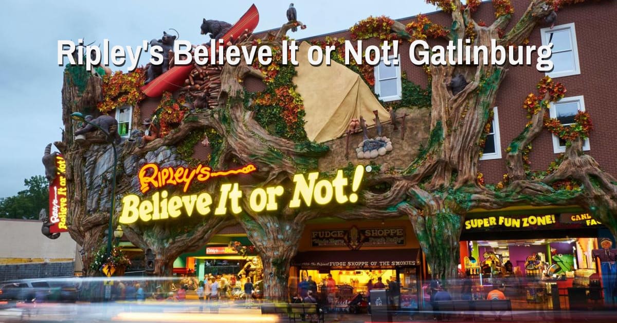 Ripley's Believe It or Not