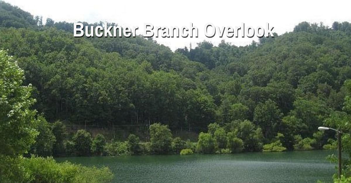 Buckner Branch Overlook