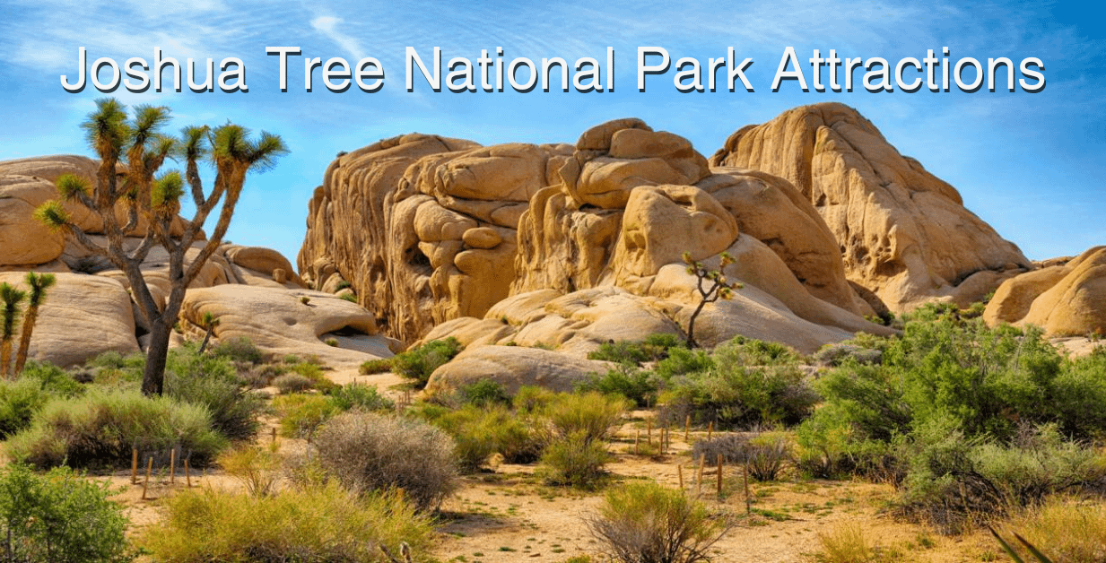 Joshua Tree National Park Attractions