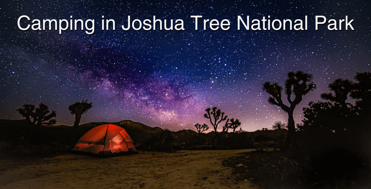 Camping in Joshua Tree National Park