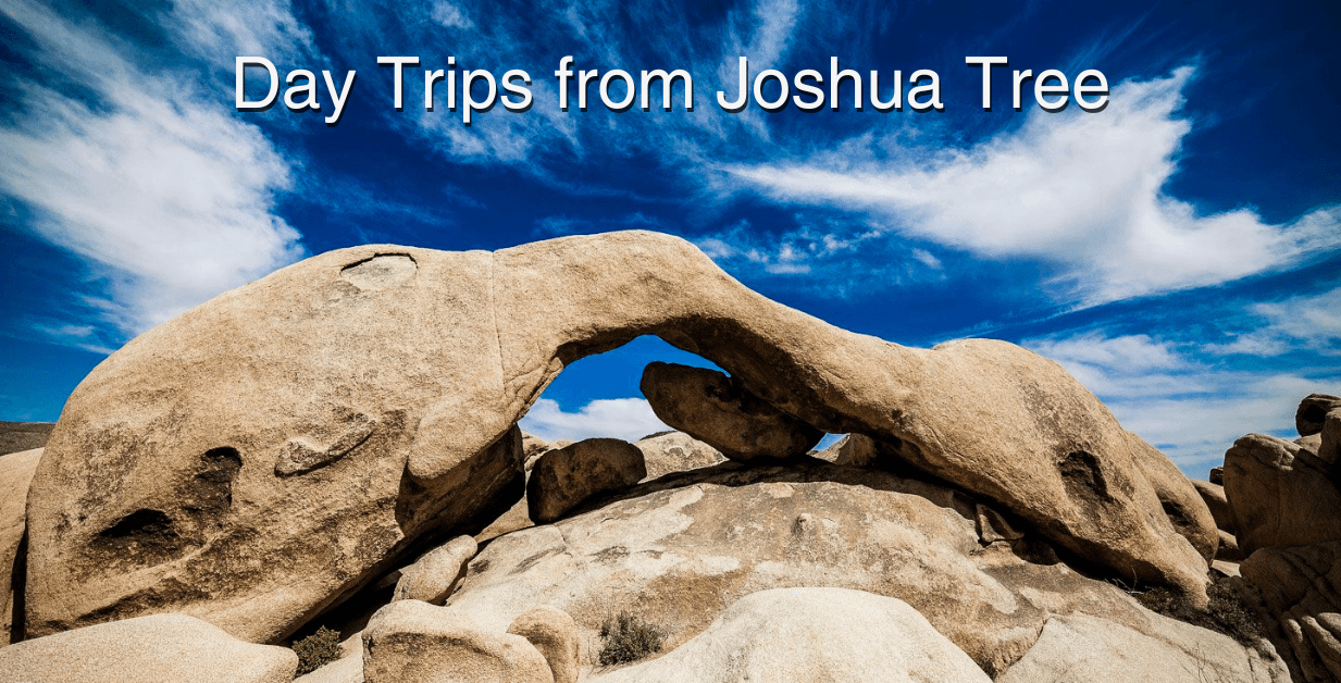 Day Trips from Joshua Tree