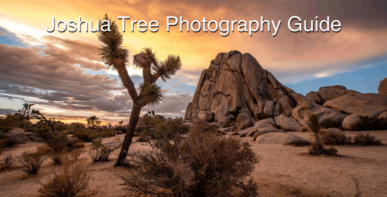 Joshua Tree Photography Guide