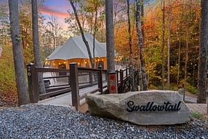 Swallowtail Tent