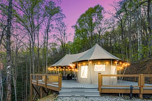 Canopy Tent