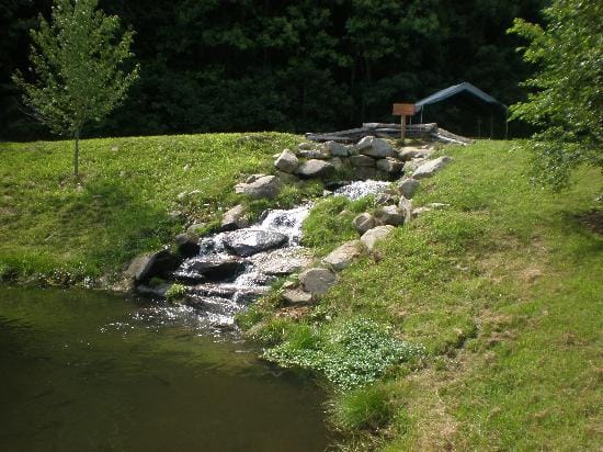 Cooper Creek Trout Farm And Pond