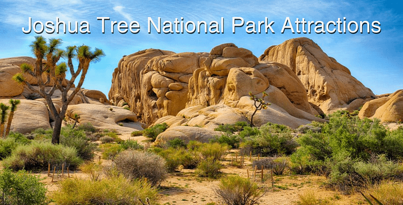 Joshua Tree National Park Attractions