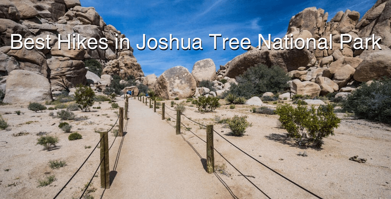 Best Hikes in Joshua Tree National Park