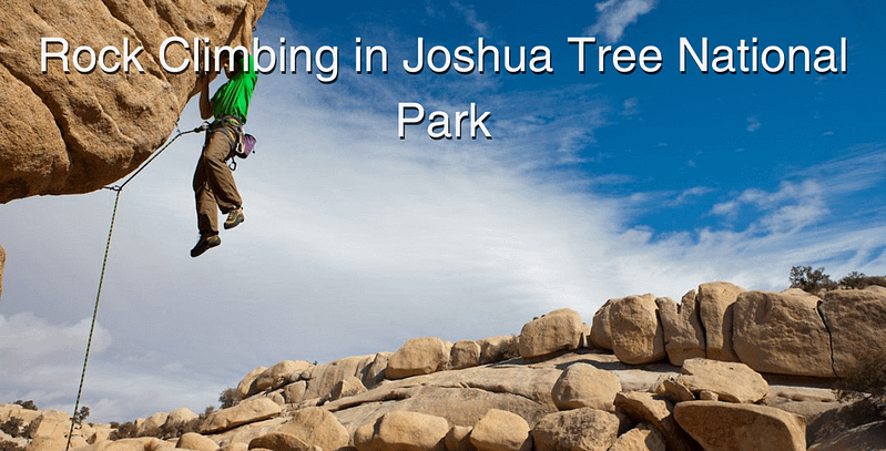 Rock Climbing in Joshua Tree National Park