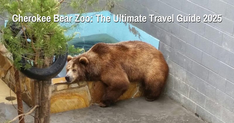 Cherokee Bear Zoo: Is It Worth Visiting? 2026 Guide 10 Cherokee Bear Zoo