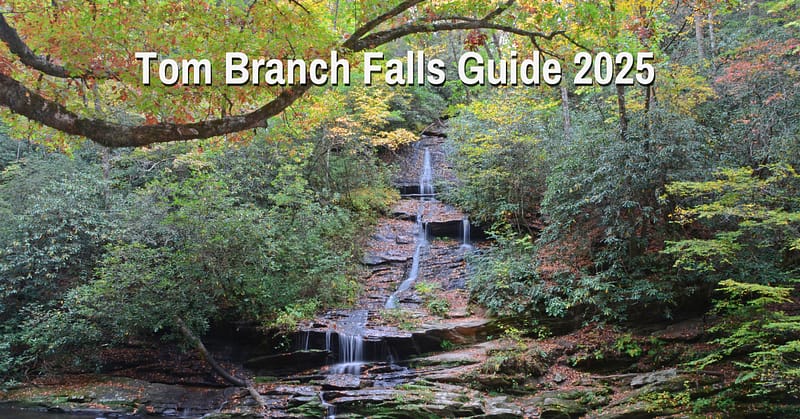 Tom Branch Falls