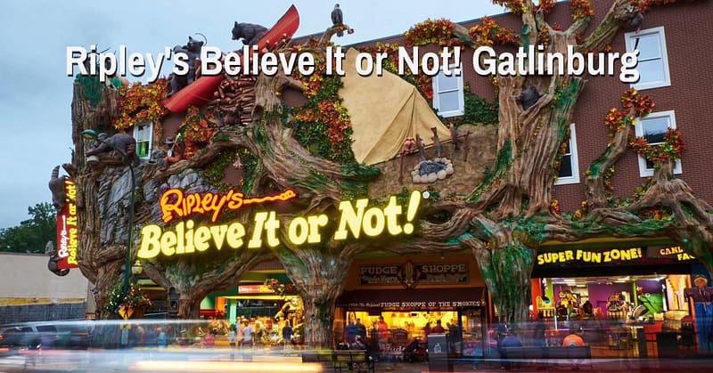 Ripley's Believe It or Not! Gatlinburg Guide 2026 | Tickets & Tips 10 Ripley's Believe It or Not