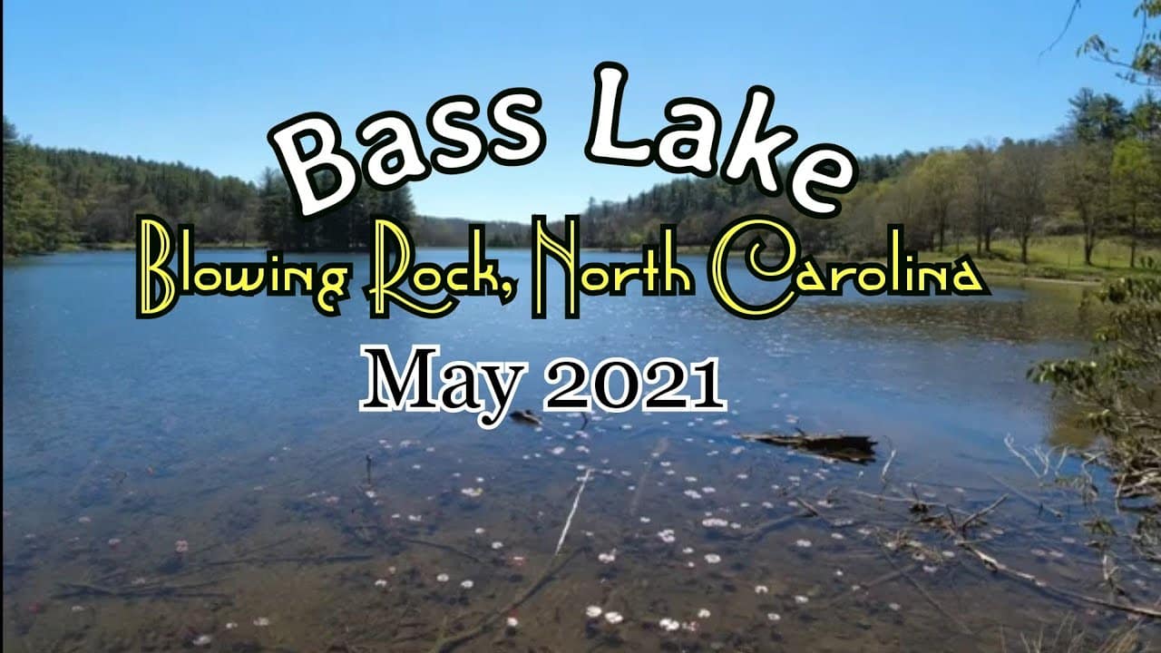 youtube placeholder image