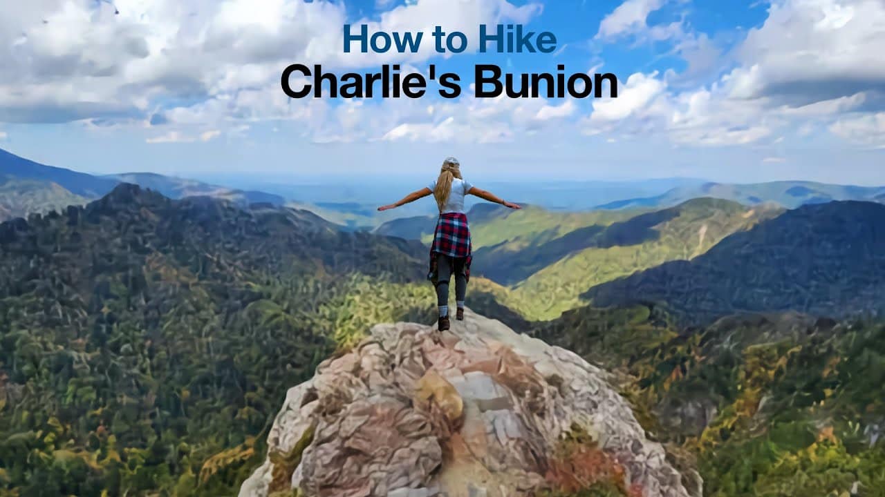youtube placeholder image