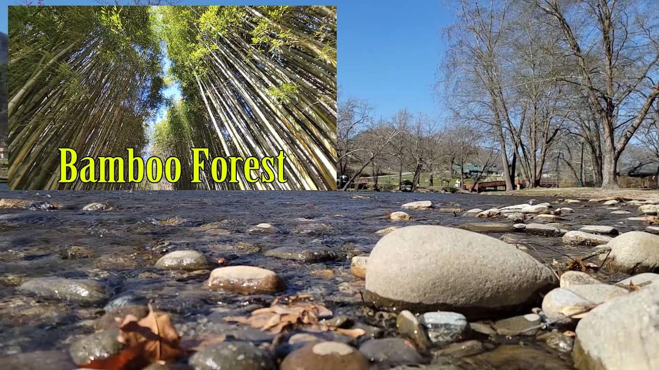 youtube placeholder image