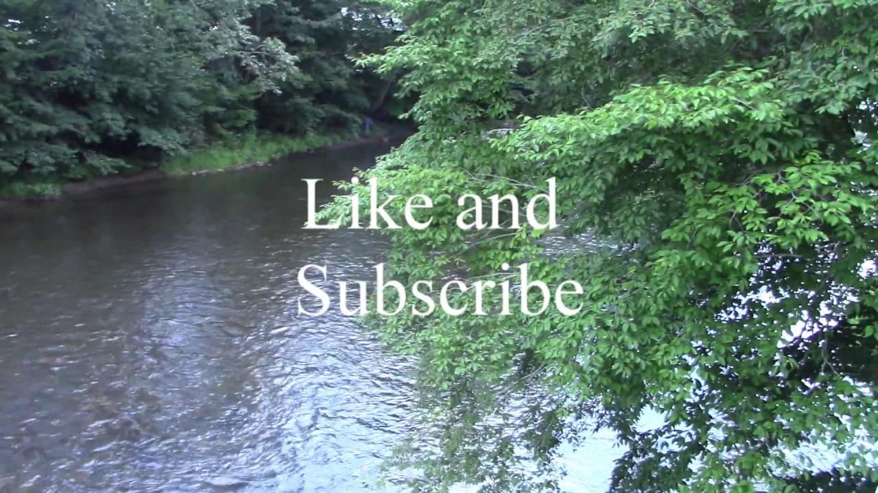 youtube placeholder image